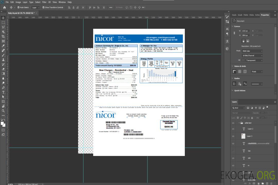 Facture de services publics pour les entreprises de gaz de l'Illinois Nicor, SCR template Facture de services publics pour les entreprises de gaz de l'Illinois Nicor, SCR template